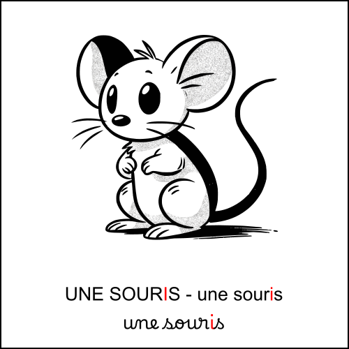 souris